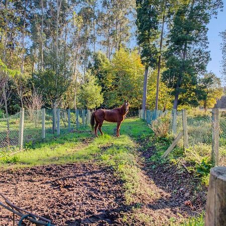Casa Do Moinho Rural Campo E Praia , 9 Pessoas, Animais Benvindos Espinho  Dış mekan fotoğraf