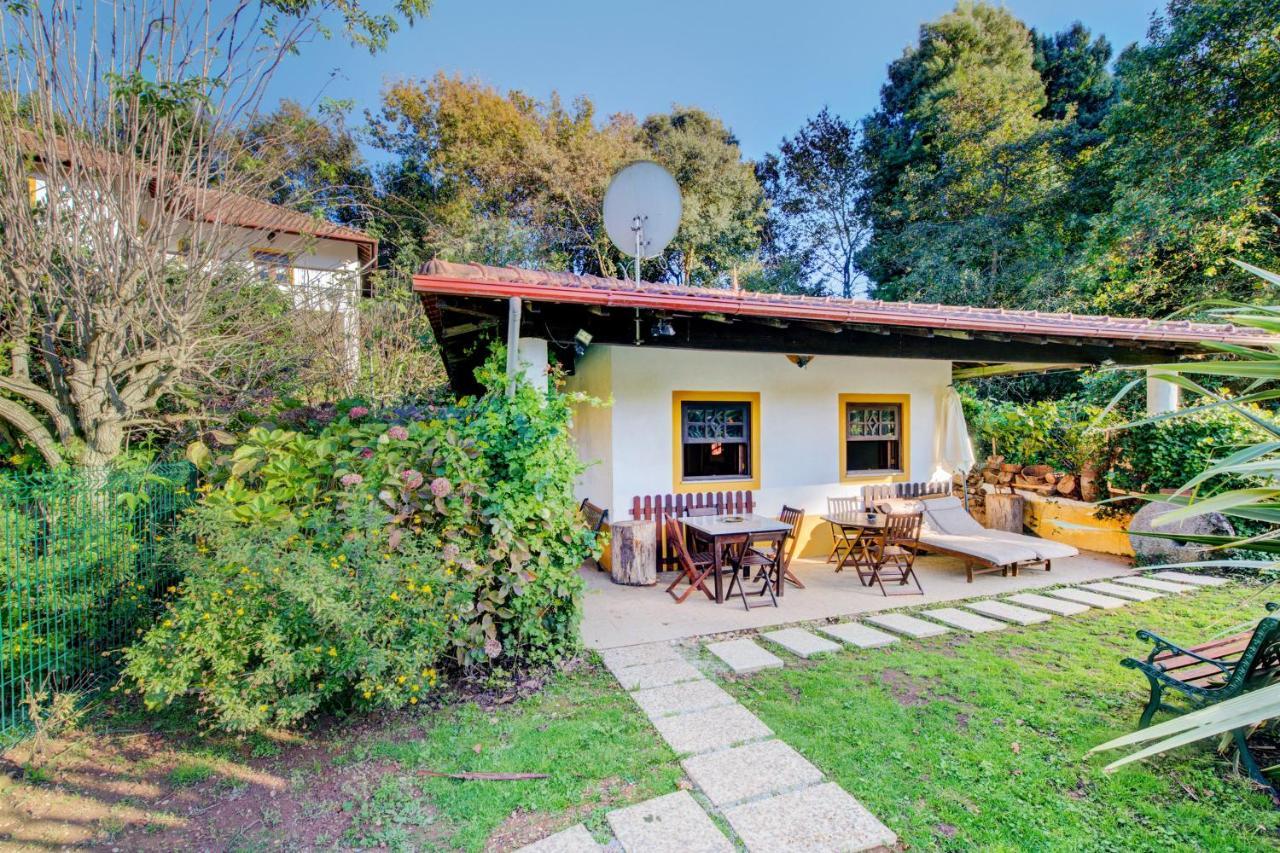 Casa Do Moinho Rural Campo E Praia , 9 Pessoas, Animais Benvindos Espinho  Dış mekan fotoğraf