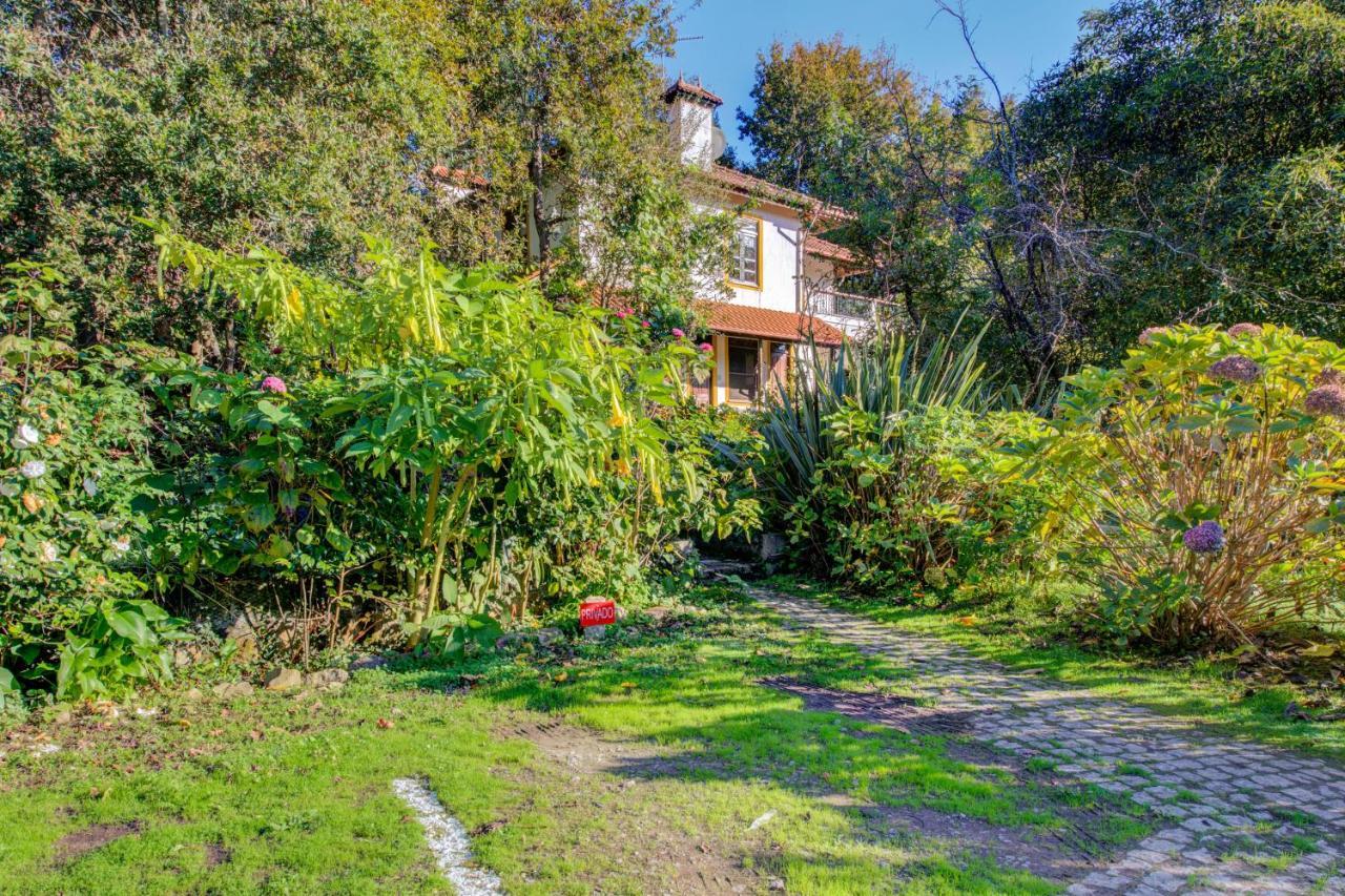 Casa Do Moinho Rural Campo E Praia , 9 Pessoas, Animais Benvindos Espinho  Dış mekan fotoğraf